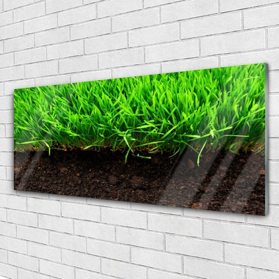 Glazen schilderij Grass nature plant