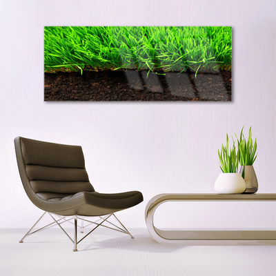 Glazen schilderij Grass nature plant