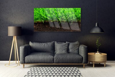 Glazen schilderij Grass nature plant