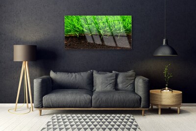 Glazen schilderij Grass nature plant