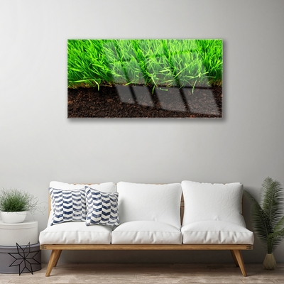 Glazen schilderij Grass nature plant