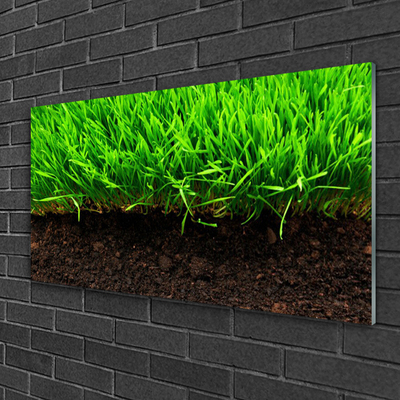 Glazen schilderij Grass nature plant