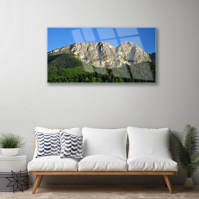 Glazen schilderij Mount forest nature