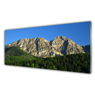 Glazen schilderij Mount forest nature