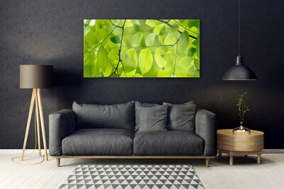 Glazen schilderij Bladeren natuur plant