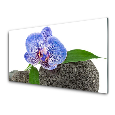 Glazen schilderij Natuur bloem plant