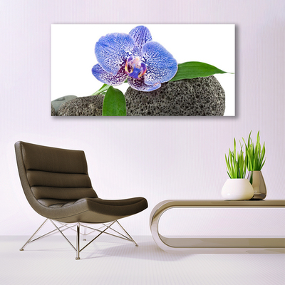 Glazen schilderij Natuur bloem plant