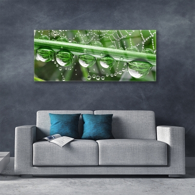 Glazen schilderij Cobweb drops plant