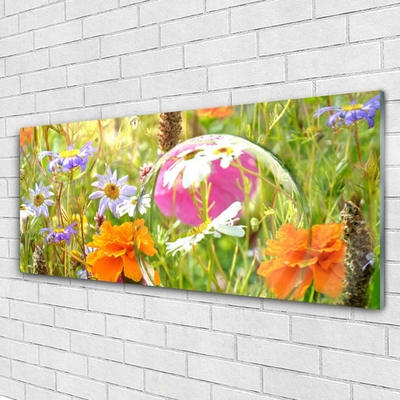 Glazen schilderij Bloemen plant nature