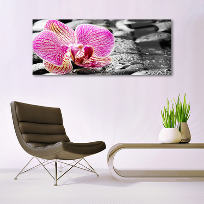 Glazen schilderij Orchidee bloem stones