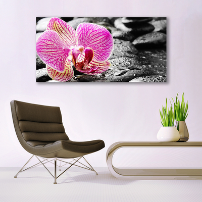 Glazen schilderij Orchidee bloem stones