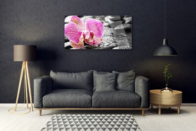 Glazen schilderij Orchidee bloem stones