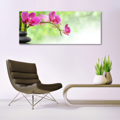 Glazen schilderij Natuur bamboe bloem