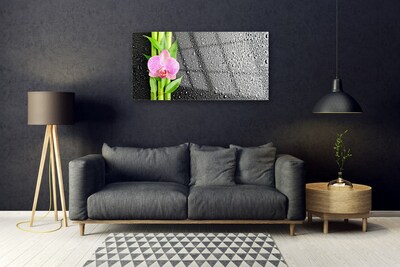 Glazen schilderij Bamboestam flower plant