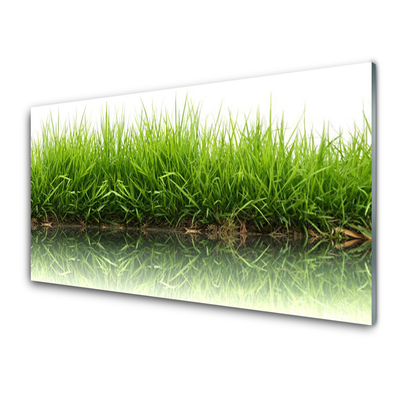 Glazen schilderij Grass nature plant