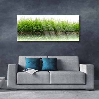 Glazen schilderij Grass nature plant