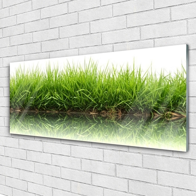 Glazen schilderij Grass nature plant