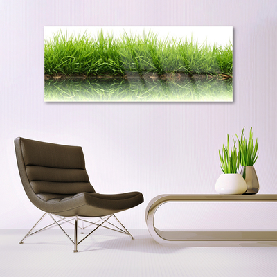 Glazen schilderij Grass nature plant