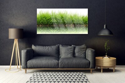 Glazen schilderij Grass nature plant