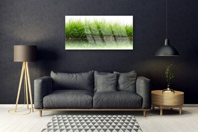 Glazen schilderij Grass nature plant