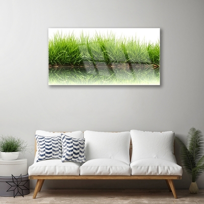 Glazen schilderij Grass nature plant