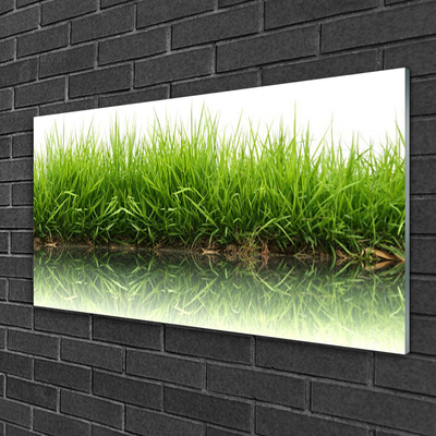 Glazen schilderij Grass nature plant