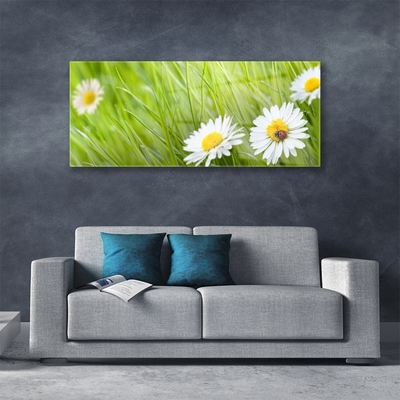 Glazen schilderij Grass daisies nature