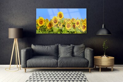 Glazen schilderij Zonnebloem flower plant