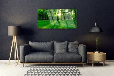 Glazen schilderij Forest park nature