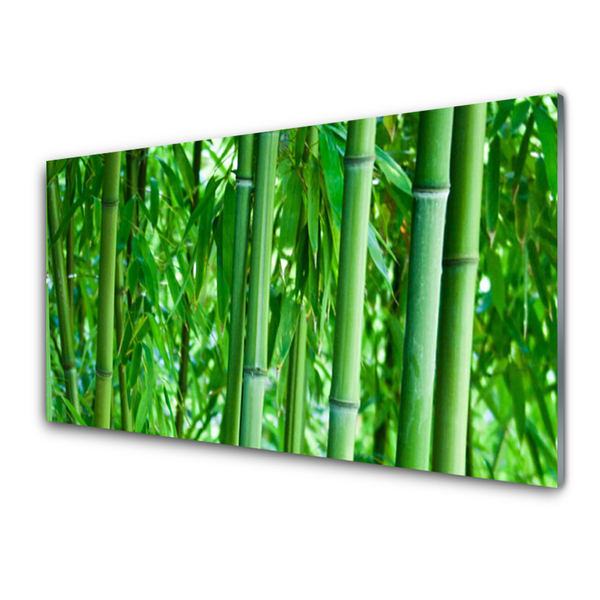 Glazen schilderij Bamboo stengelplant