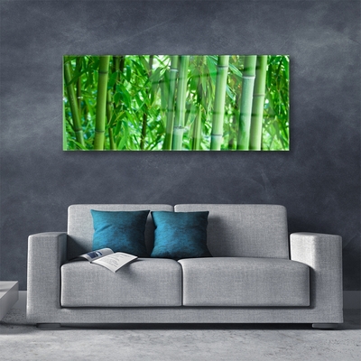 Glazen schilderij Bamboo stengelplant