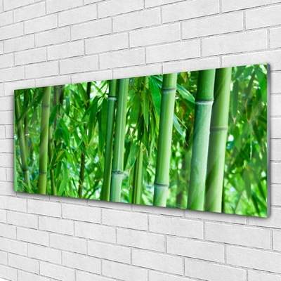 Glazen schilderij Bamboo stengelplant