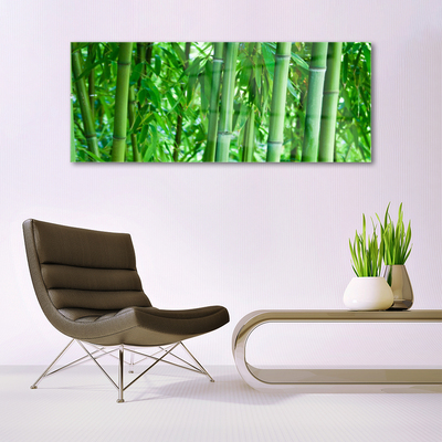 Glazen schilderij Bamboo stengelplant