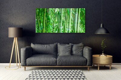 Glazen schilderij Bamboo stengelplant