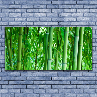 Glazen schilderij Bamboo stengelplant