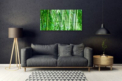 Glazen schilderij Bamboo stengelplant