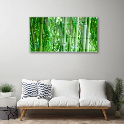 Glazen schilderij Bamboo stengelplant