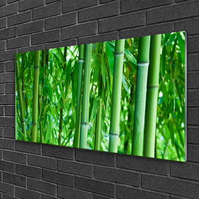 Glazen schilderij Bamboo stengelplant