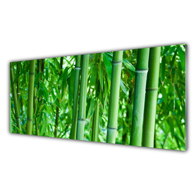 Glazen schilderij Bamboo stengelplant