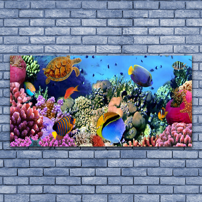 Glazen schilderij Barrier reef nature