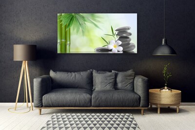 Glazen schilderij Bamboestam flower plant