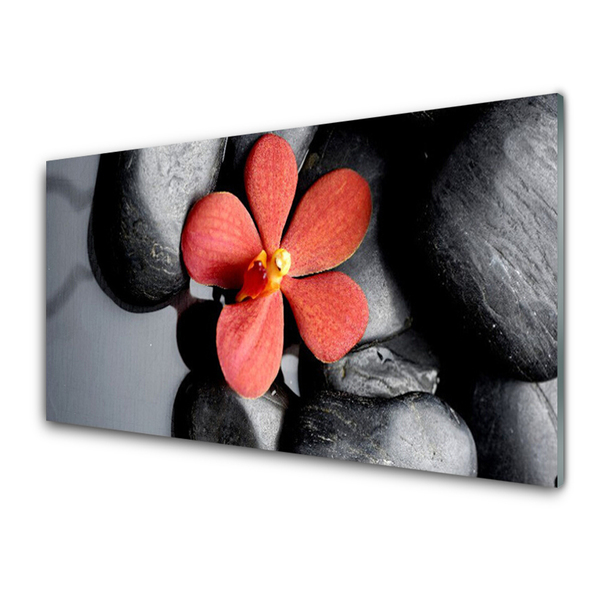 Glazen schilderij Flower stones art