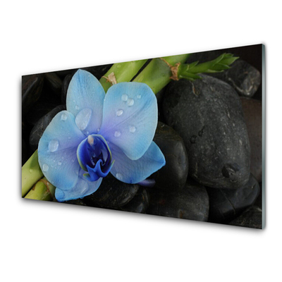 Glazen schilderij Stenen bloem plant