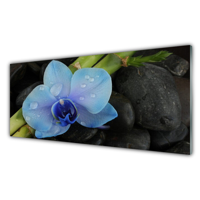 Glazen schilderij Stenen bloem plant