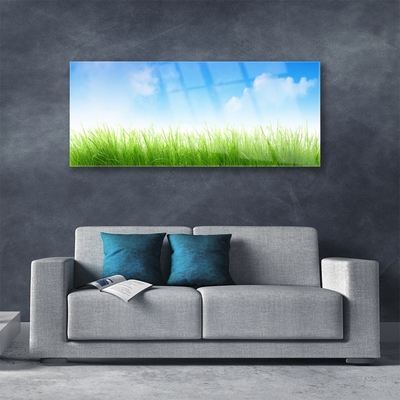 Glazen schilderij Grass nature plant