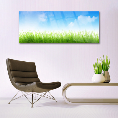 Glazen schilderij Grass nature plant