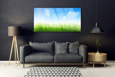 Glazen schilderij Grass nature plant