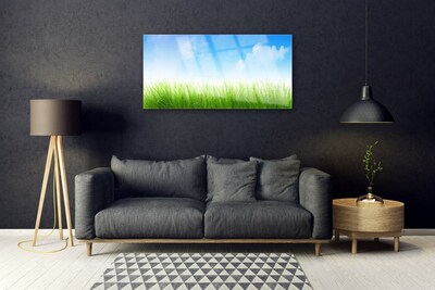 Glazen schilderij Grass nature plant