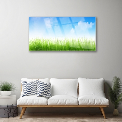 Glazen schilderij Grass nature plant