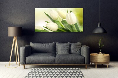 Glazen schilderij Tulpen bloemen plant